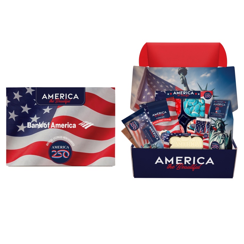 Licensed America 250 Kit