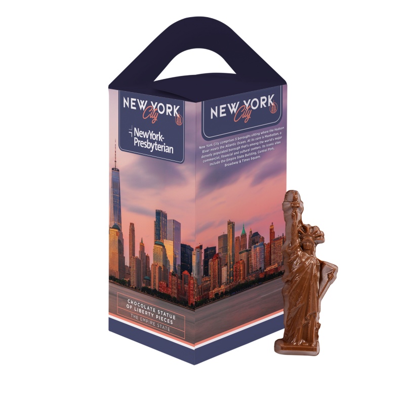 New York Souvenir Tote Box